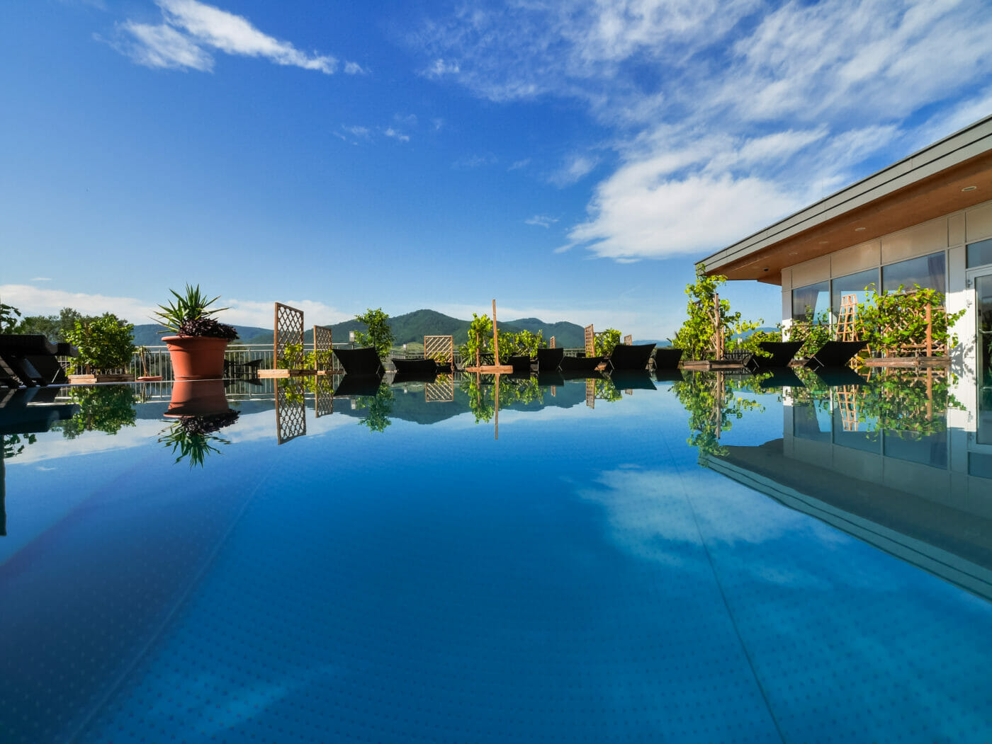 Gartenhotel & Weingut Pfeffel -