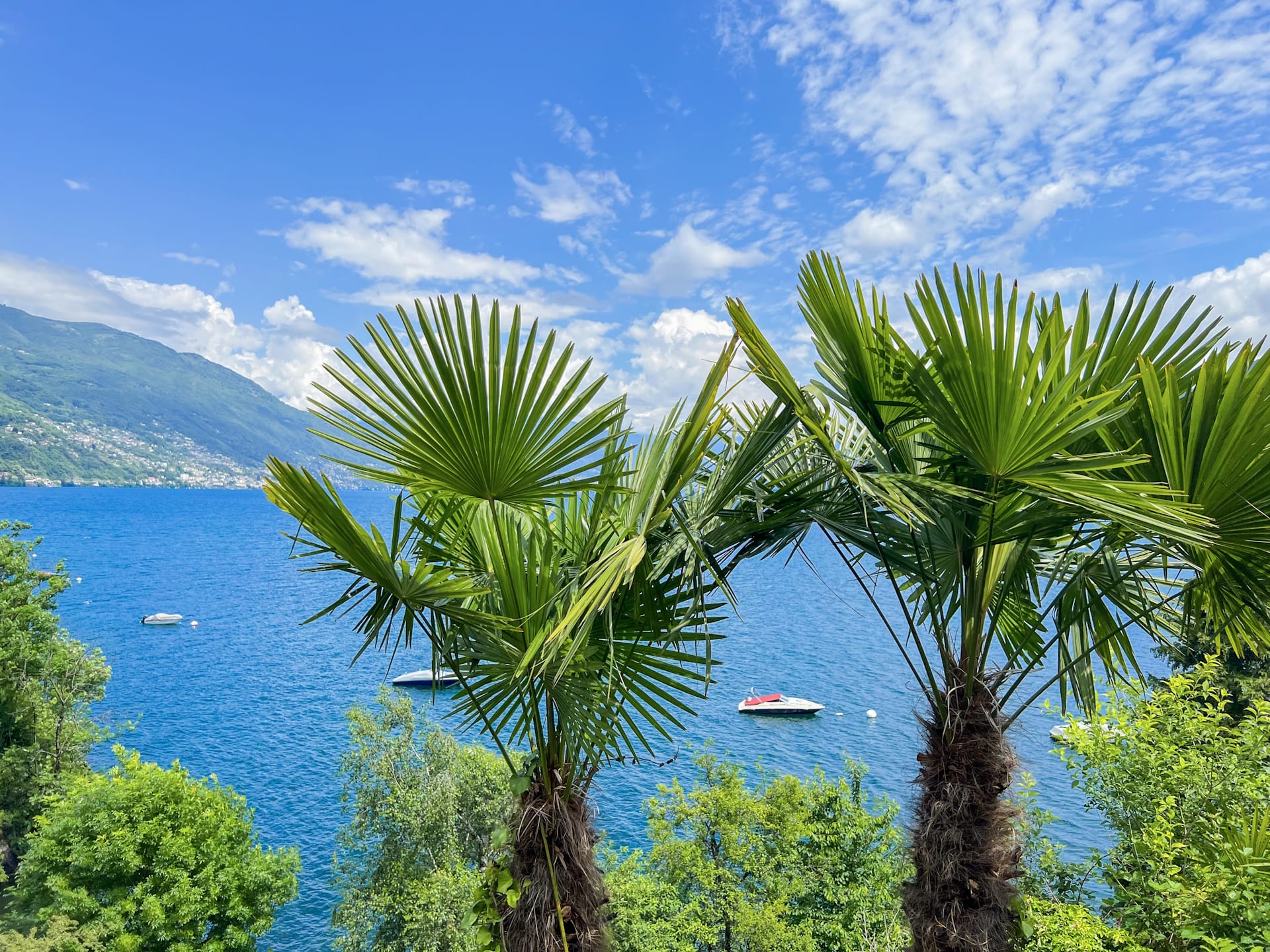 Der Lago Maggiore, oder auch Lago Verbano oder Langensee